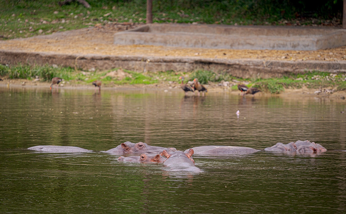 Luis Bernardo Cano / dpa / Global Look Press