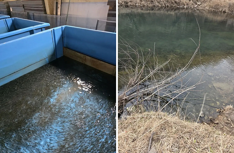 Правительство Приморского края