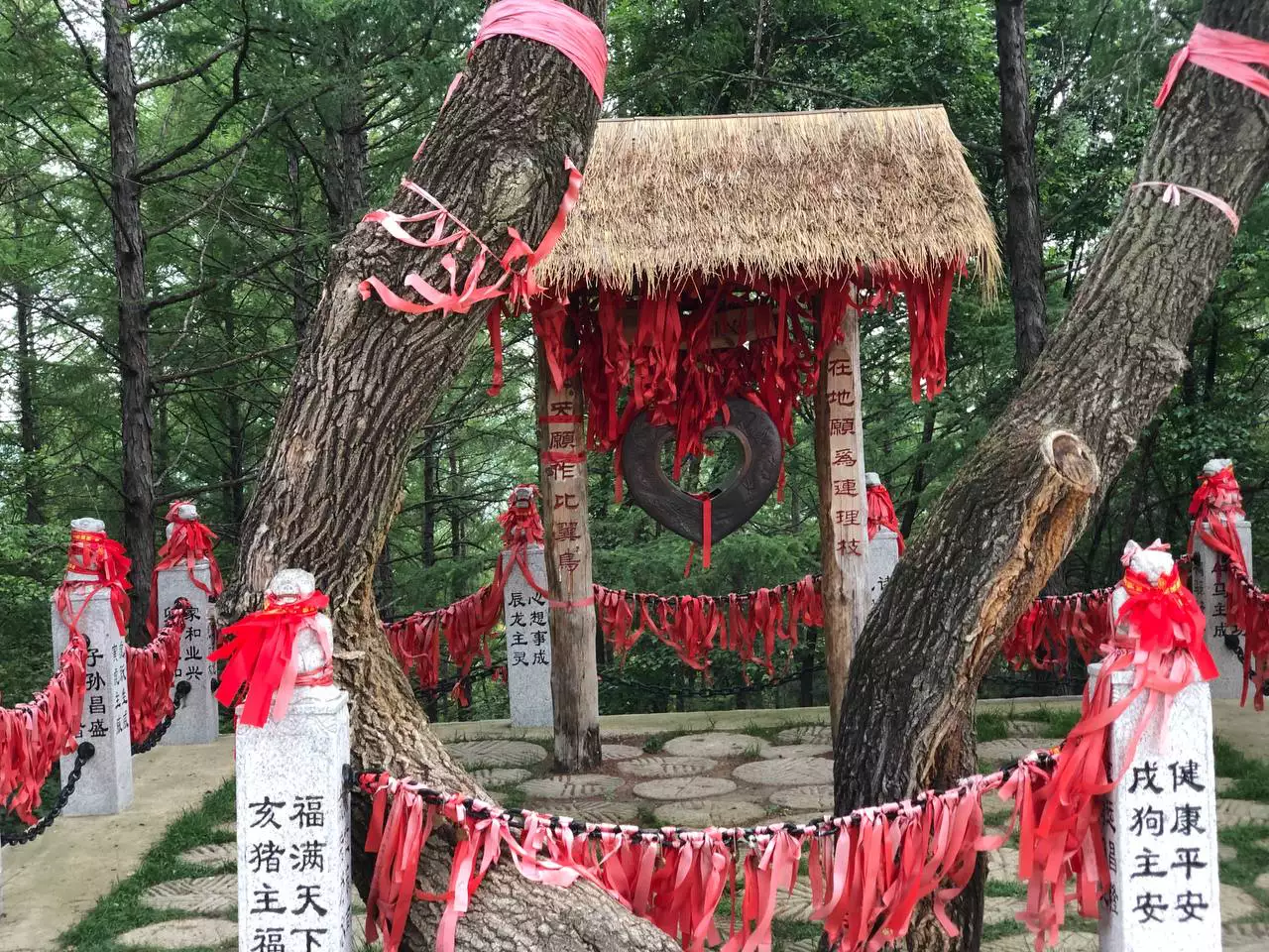 РБК Приморье