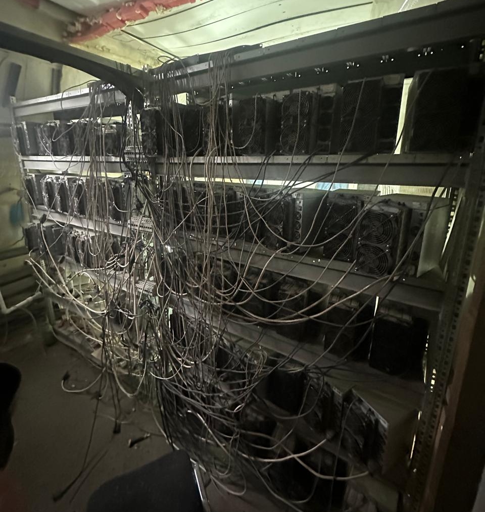 Фото: ГУ МВД по Санкт-Петербургу и Ленинградской области