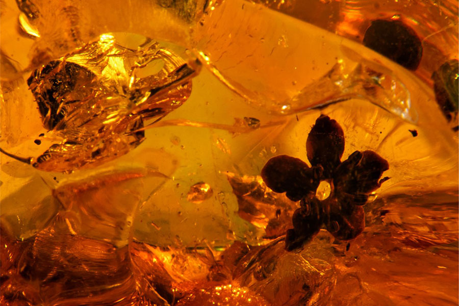 Фото