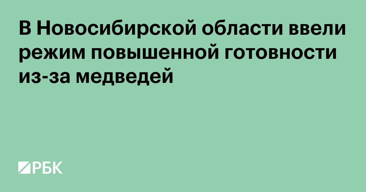 В Новосибирской области ввели режим повышенной готовности из-за медведей
