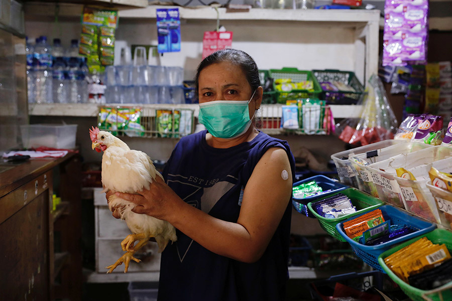 В сельских районах Индонезии тем, кто вакцинировался от коронавируса, выдают живых кур. Так власти мотивируют пожилых граждан (от 45 лет и старше), которые слабо доверяют вакцинам, прививаться. До начала программы в городе Чианджур провинции Западная Ява вакцинировались лишь 20 из 200 местных жителей, теперь, как утверждают в полиции, на прививки каждый день записываются более 250 человек