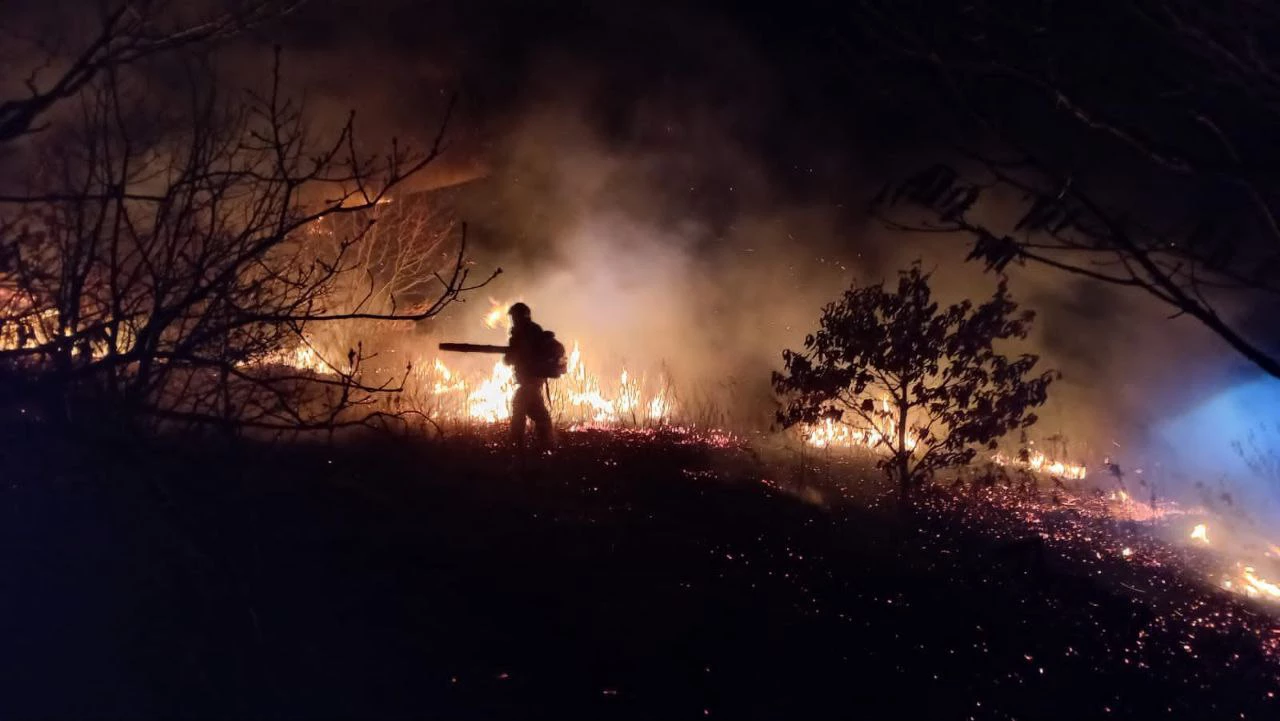 МЦУ Владивостока