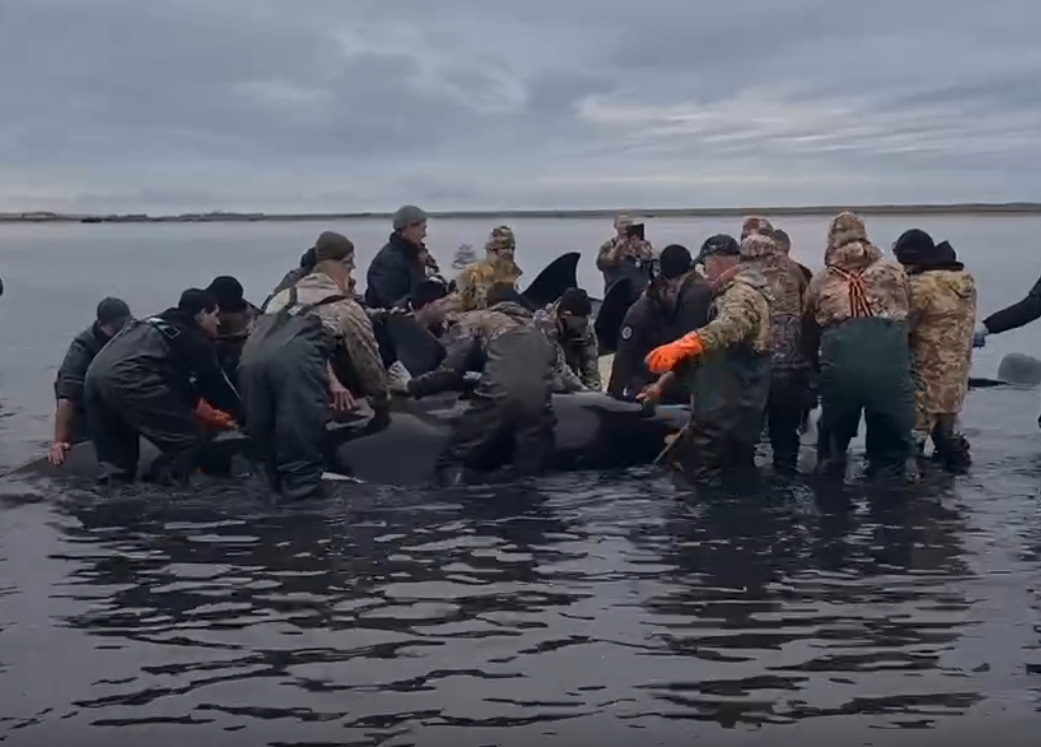 правительство Камчатского края