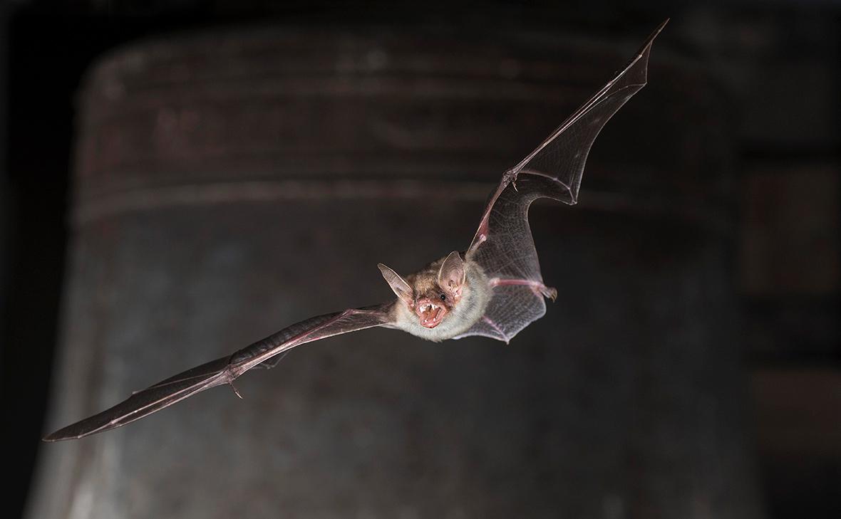 Фото: Dieter Mahlke / Image Broker / Global Look Press