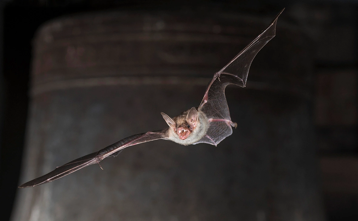 Dieter Mahlke / Image Broker / Global Look Press