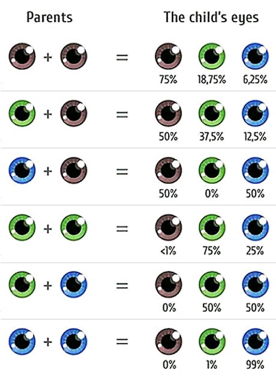 Как цвет глаз ребенка зависит от цвета глаз родителей