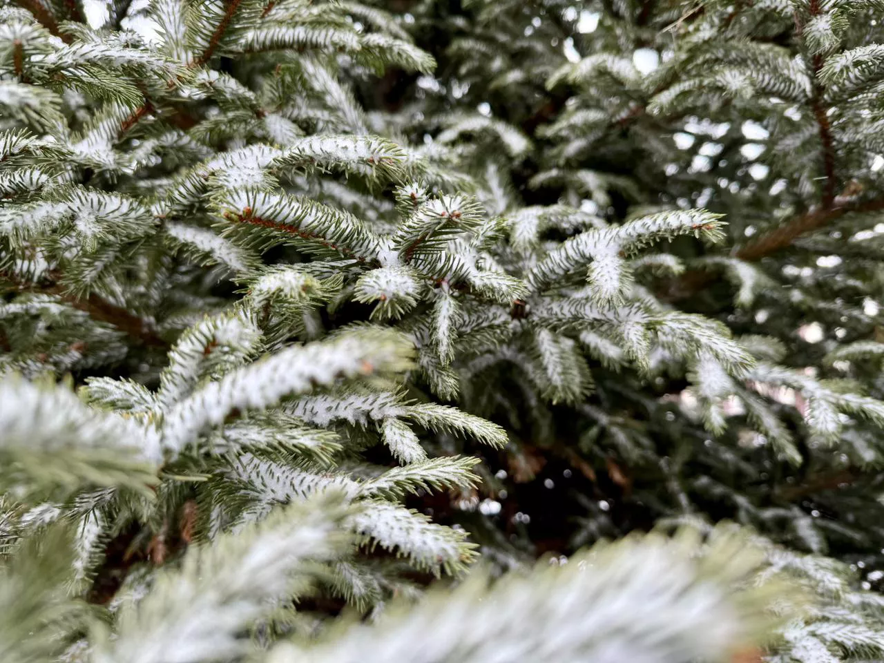 РБК Приморье