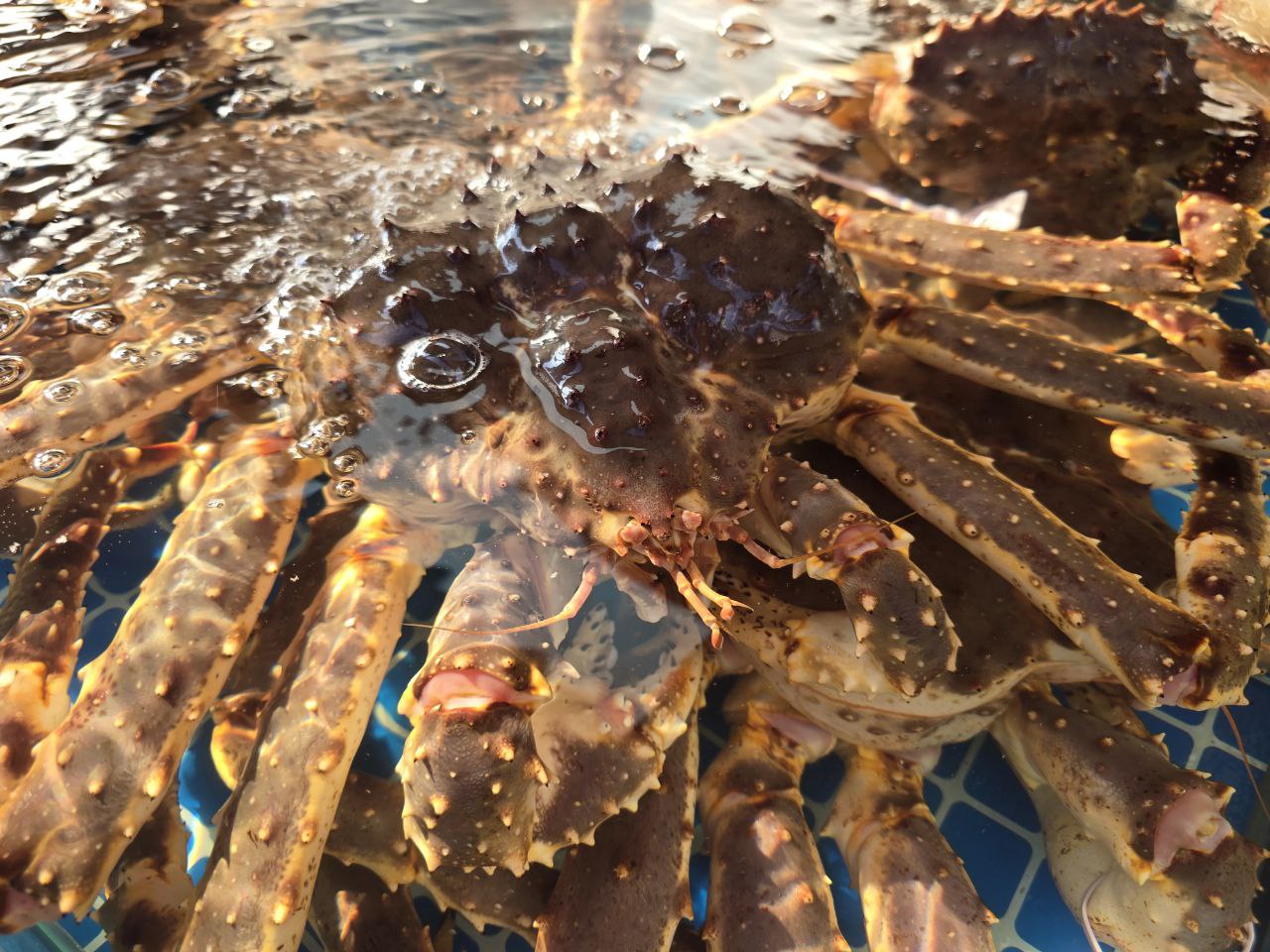 Фото: РБК Приморье