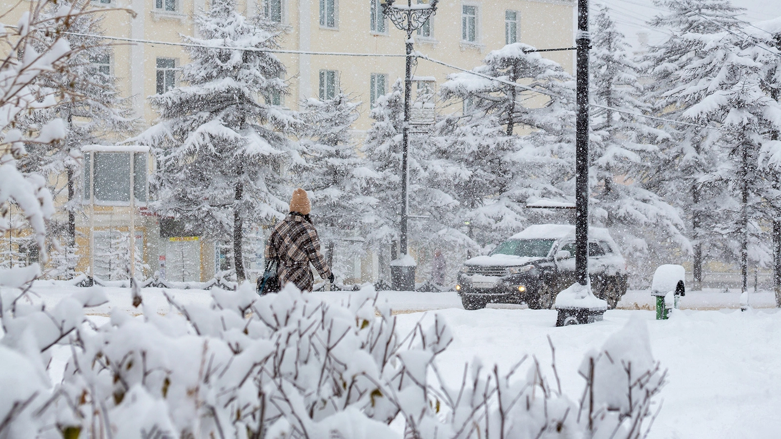 Что такое снегопад, как он образуется и чем опасен