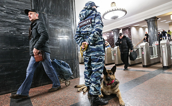 Фото: Сергей Савостьянов/ТАСС