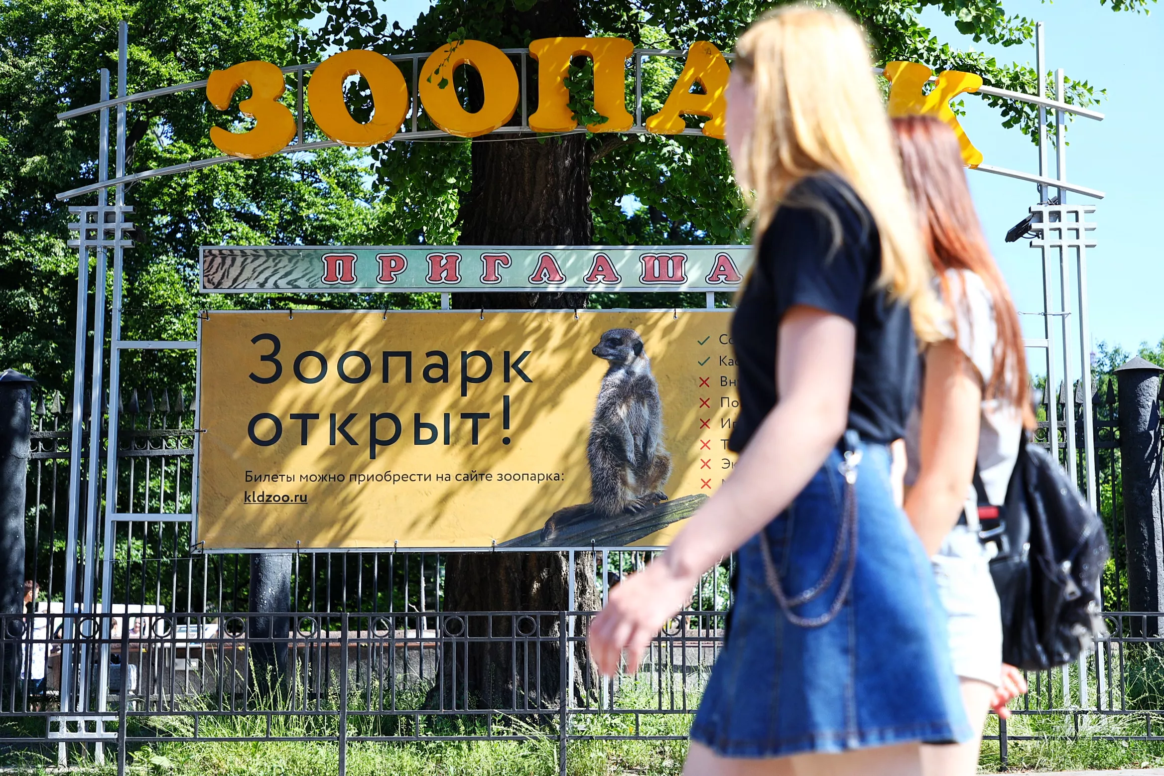 Александр Подгорчук