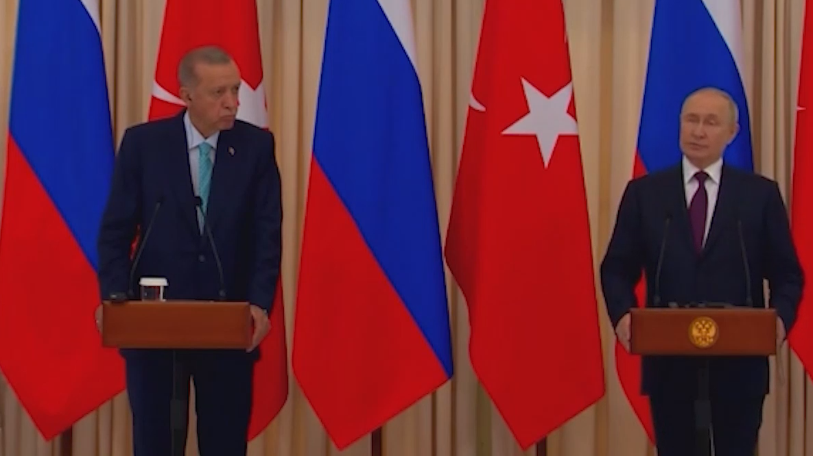 Путин заявил о попытках атак на «Турецкий» и «Голубой» потоки