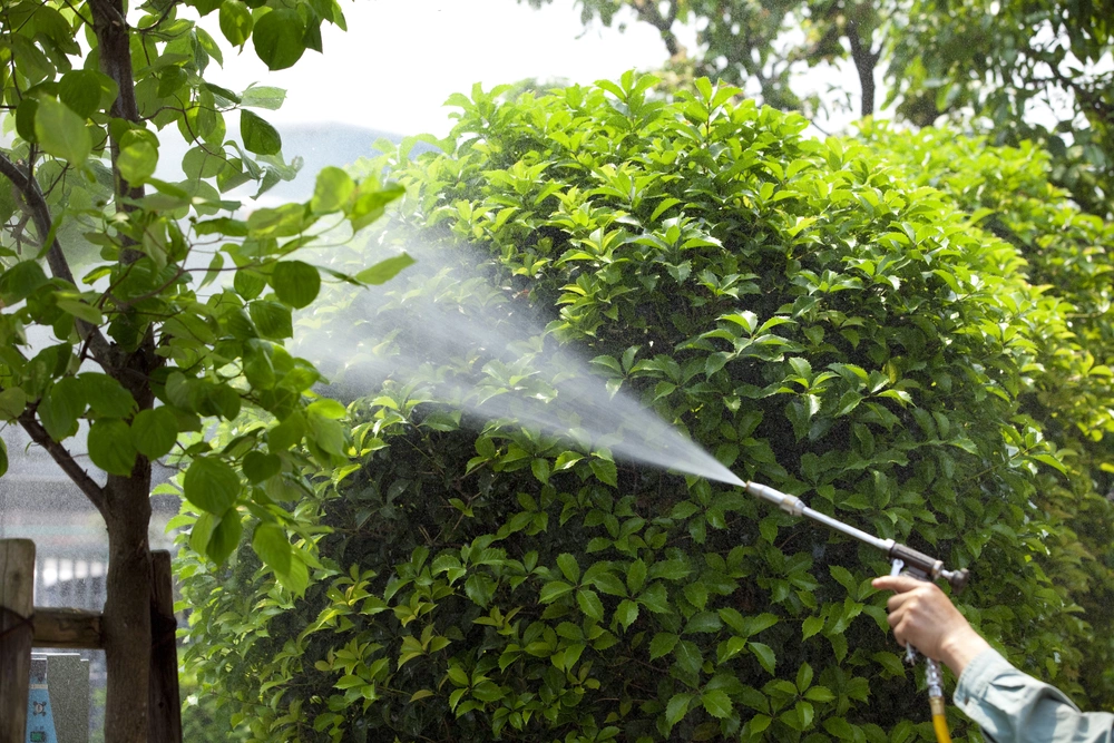 <p>Работу с любыми садовыми химикатами проводят в безветренную погоду и с соблюдением техники безопасности</p>