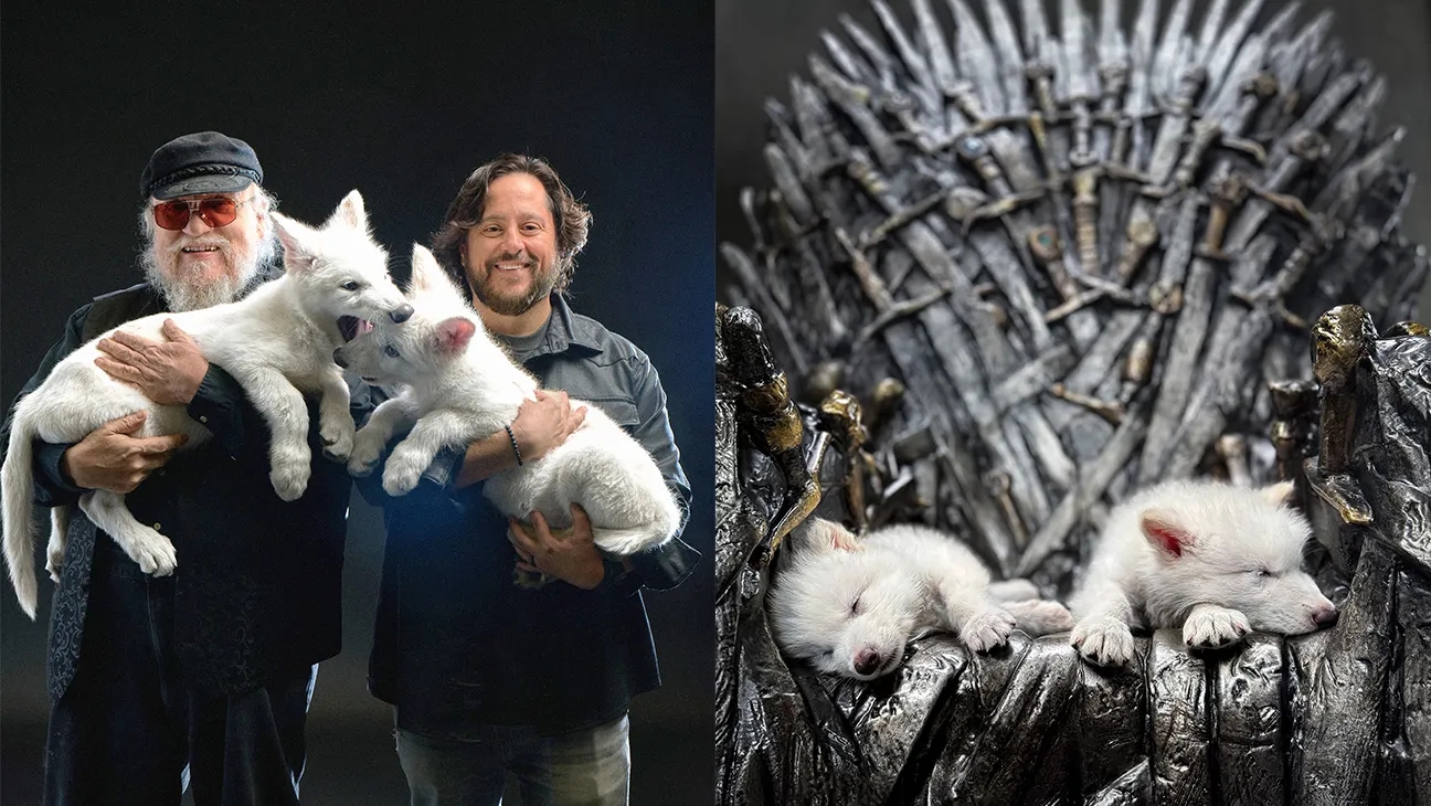 Автор &laquo;Песни льда и пламени&raquo; Джордж Мартин и сооснователь Colossal Biosciences Бен Ламм с щенками выведенных стартапом волков
&nbsp;
