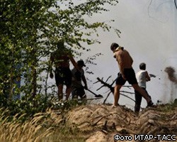 В Нижегородской области поймали поджигателей леса 