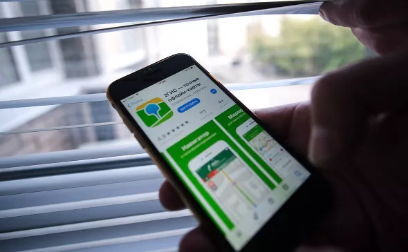 Михаил Гребенщиков / РБК