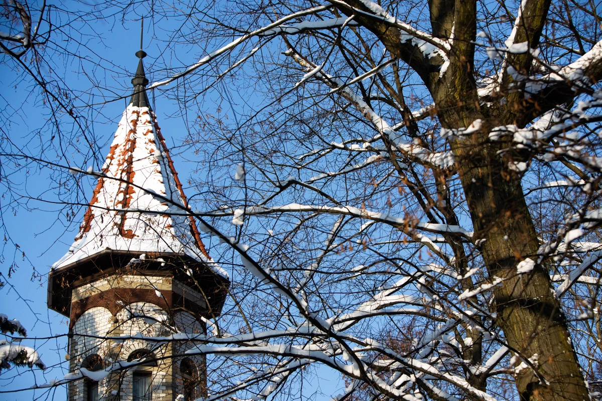 Александр Подгорчук