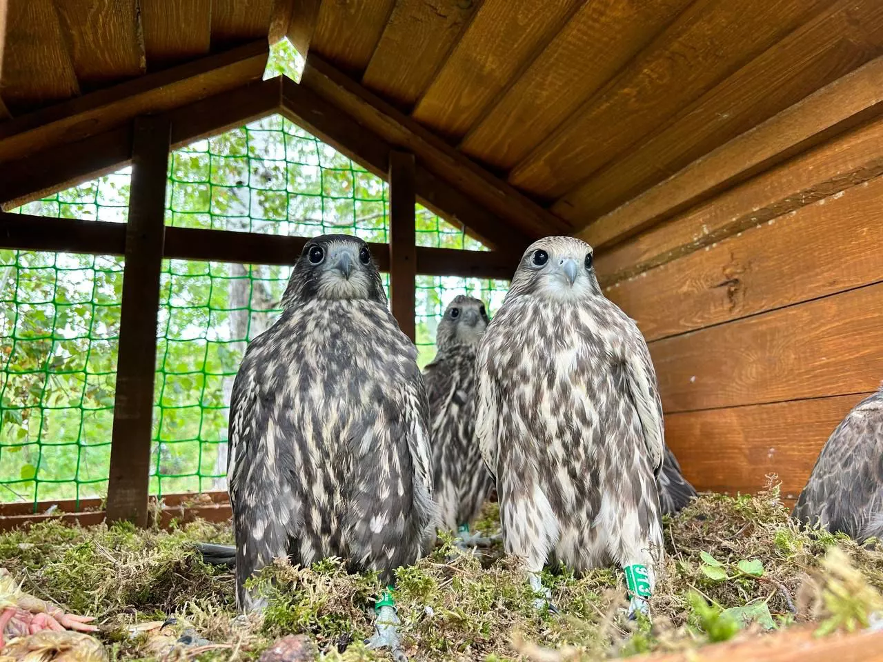 минэкологии РТ