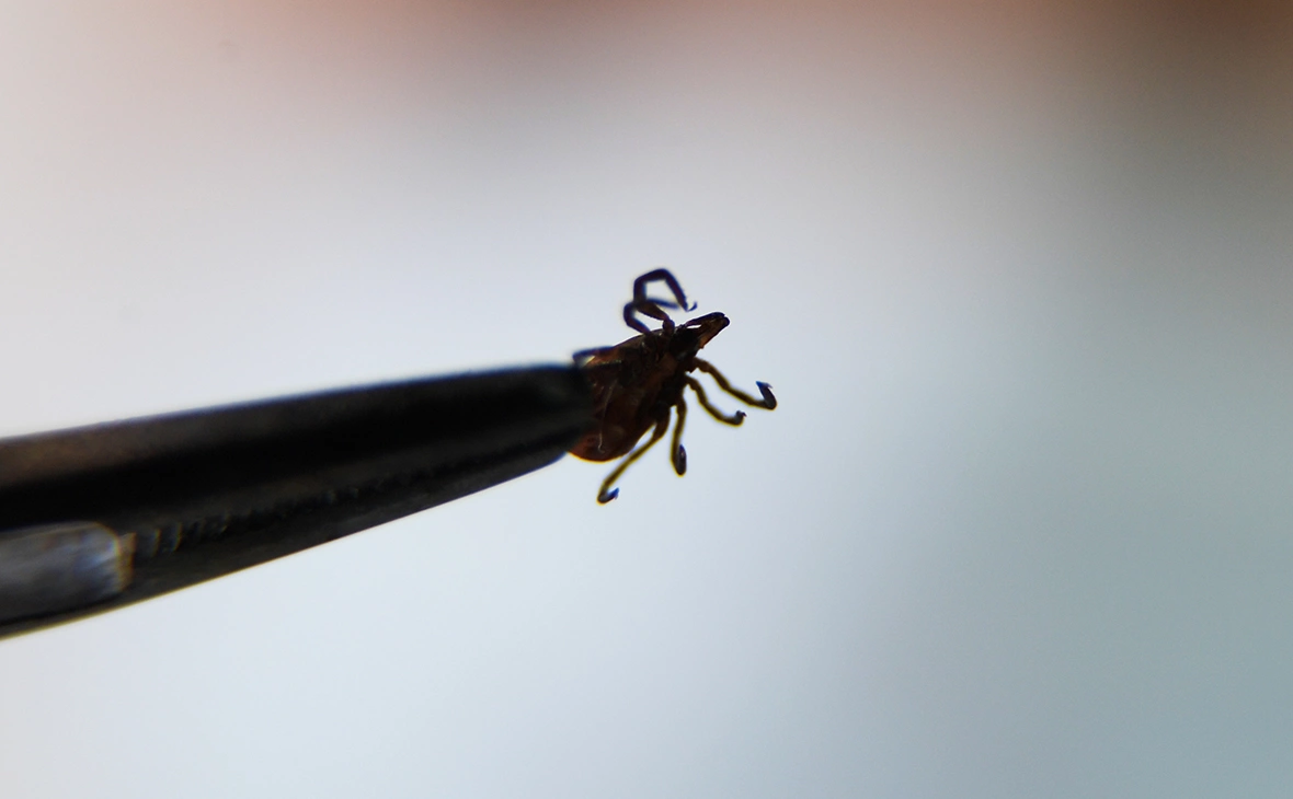 Павел Лисицын / РИА Новости