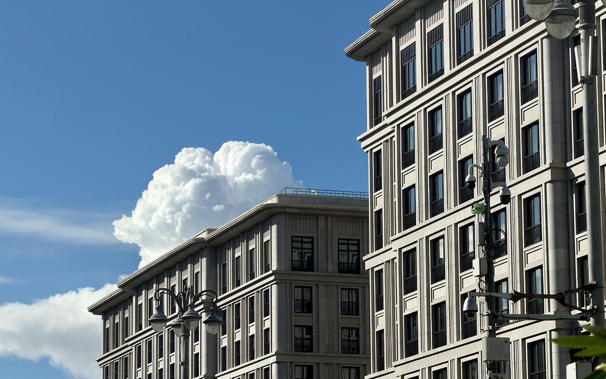 Фото: Khasanova Zita / Shutterstock / FOTODOM