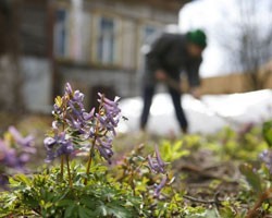 Июнь в Северной столице остается прохладным