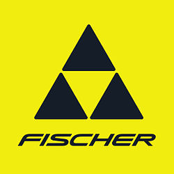 Fischer ищет в Челнах место для завода по выпуску лыж 