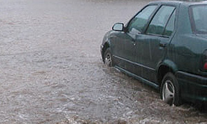 В Тульской области затоплено 15 мостов