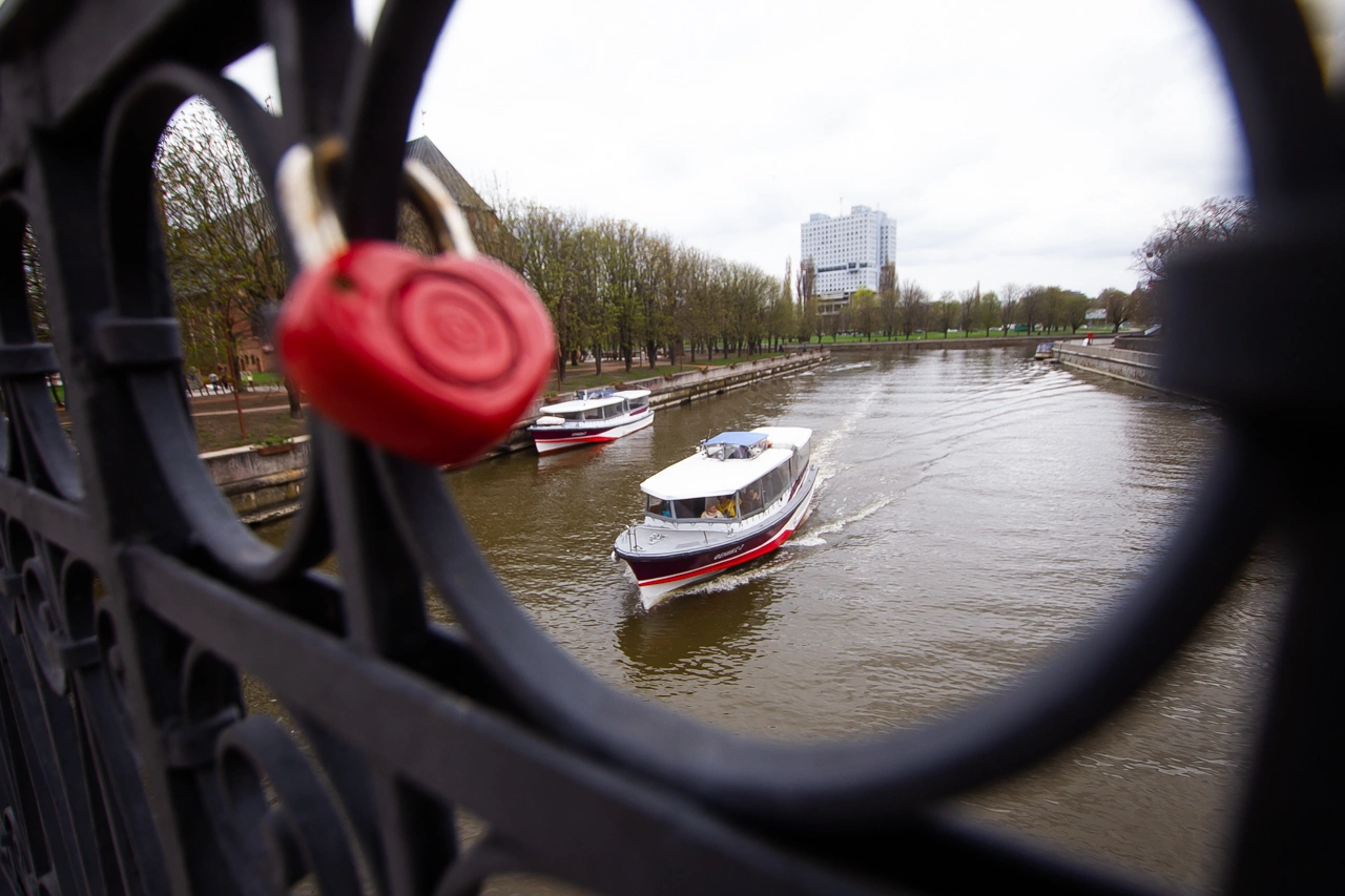 Александр Подгорчук