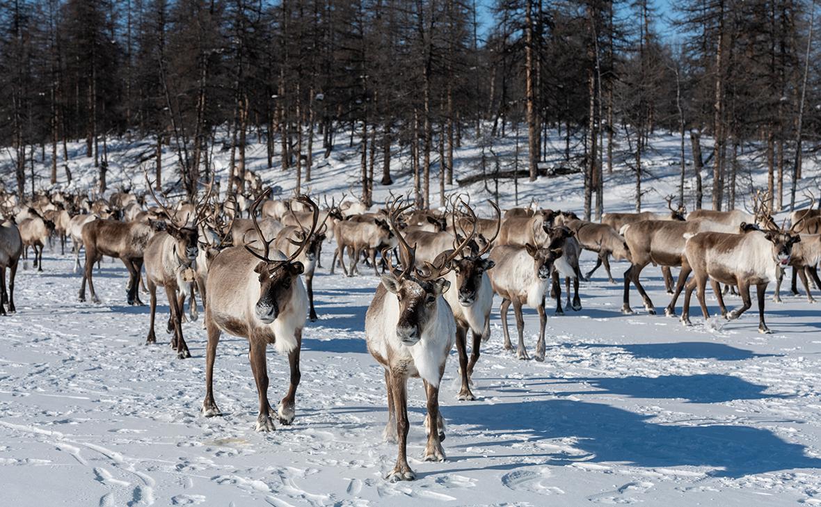 Фото: Татьяна Гасич / Shutterstock