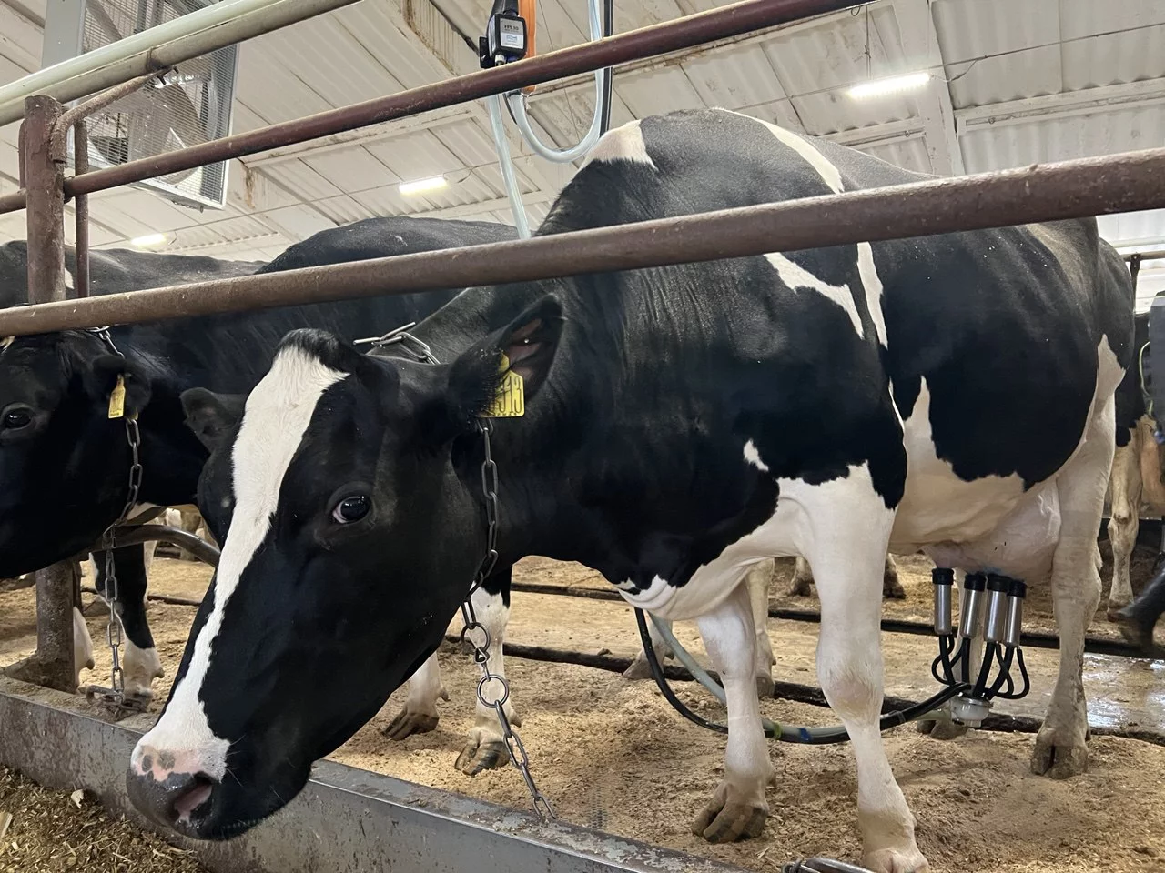 РБК Татарстан