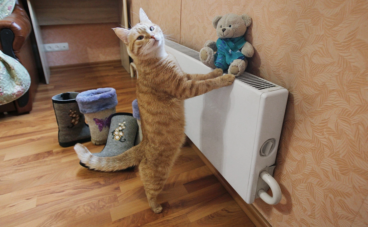 Мария Девахина / РИА Новости