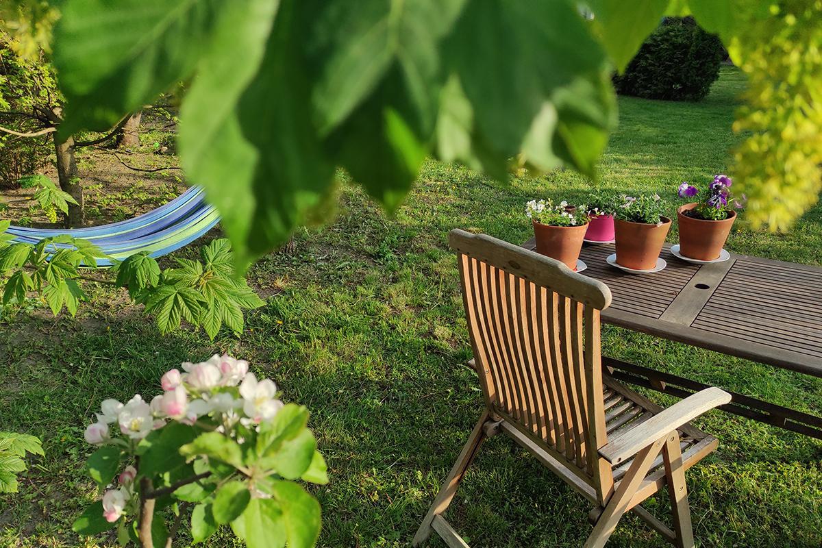 Как быстро и выгодно продать дачу в 2026 году