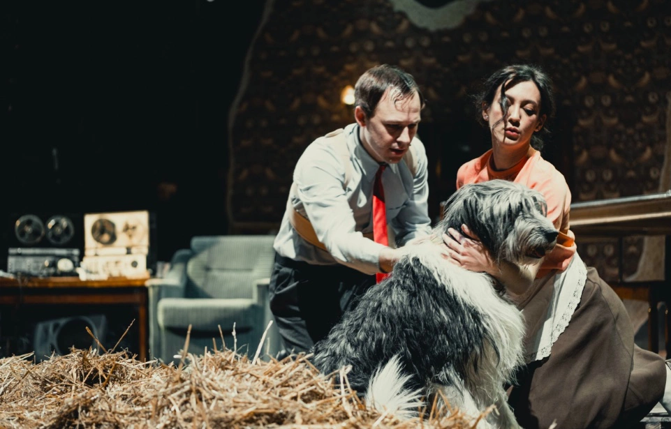 <p>Фото спектакля &laquo;Собачье сердце&raquo;</p>