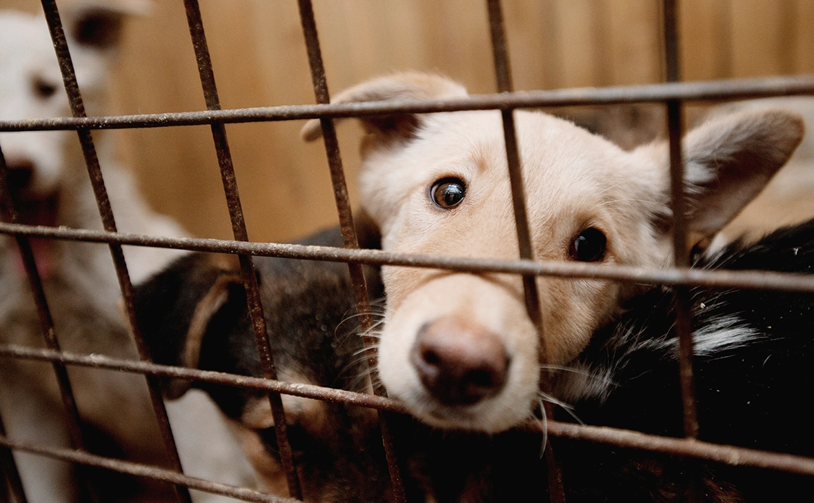 Павел Лисицын / РИА Новости