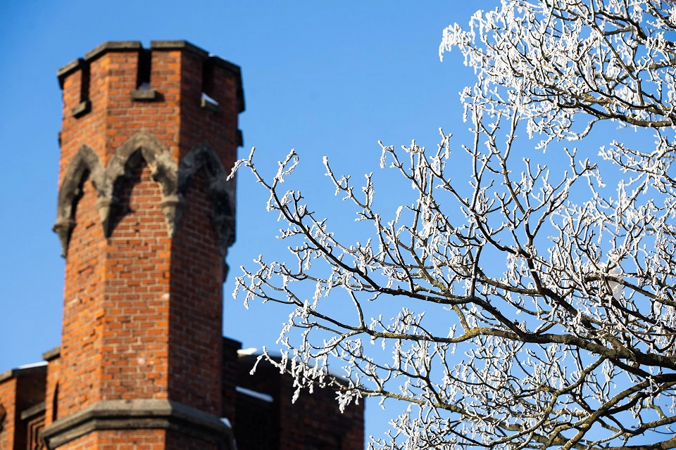 Александр Подгорчук