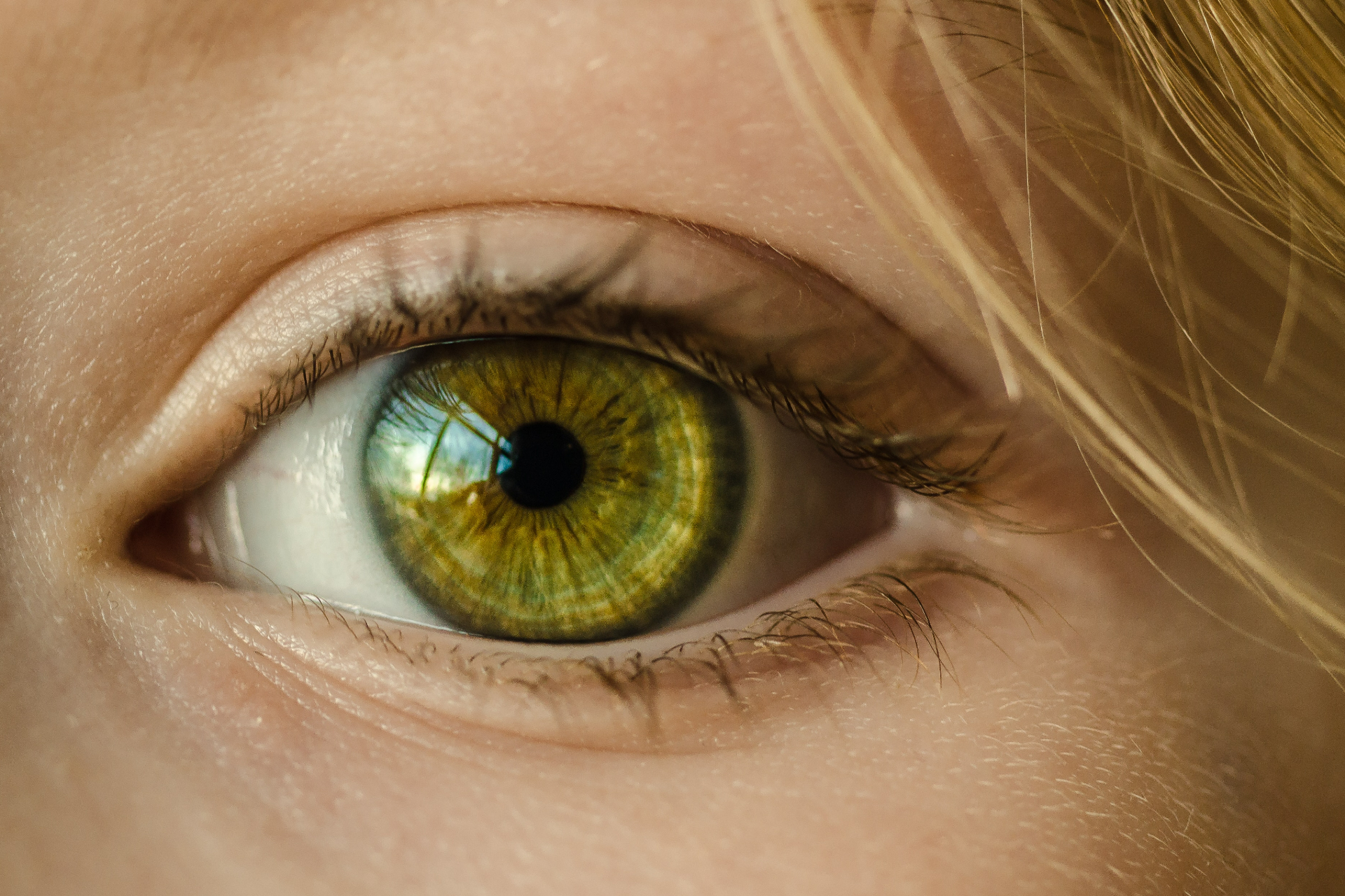 Витамин А, содержащийся в ирге,&nbsp;важен для зрения, поскольку участвует в выработке специального глазного пигмента &mdash; родопсина
