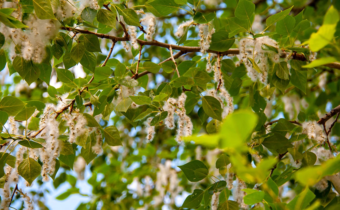 Светлана Возмилова / Global Look Press