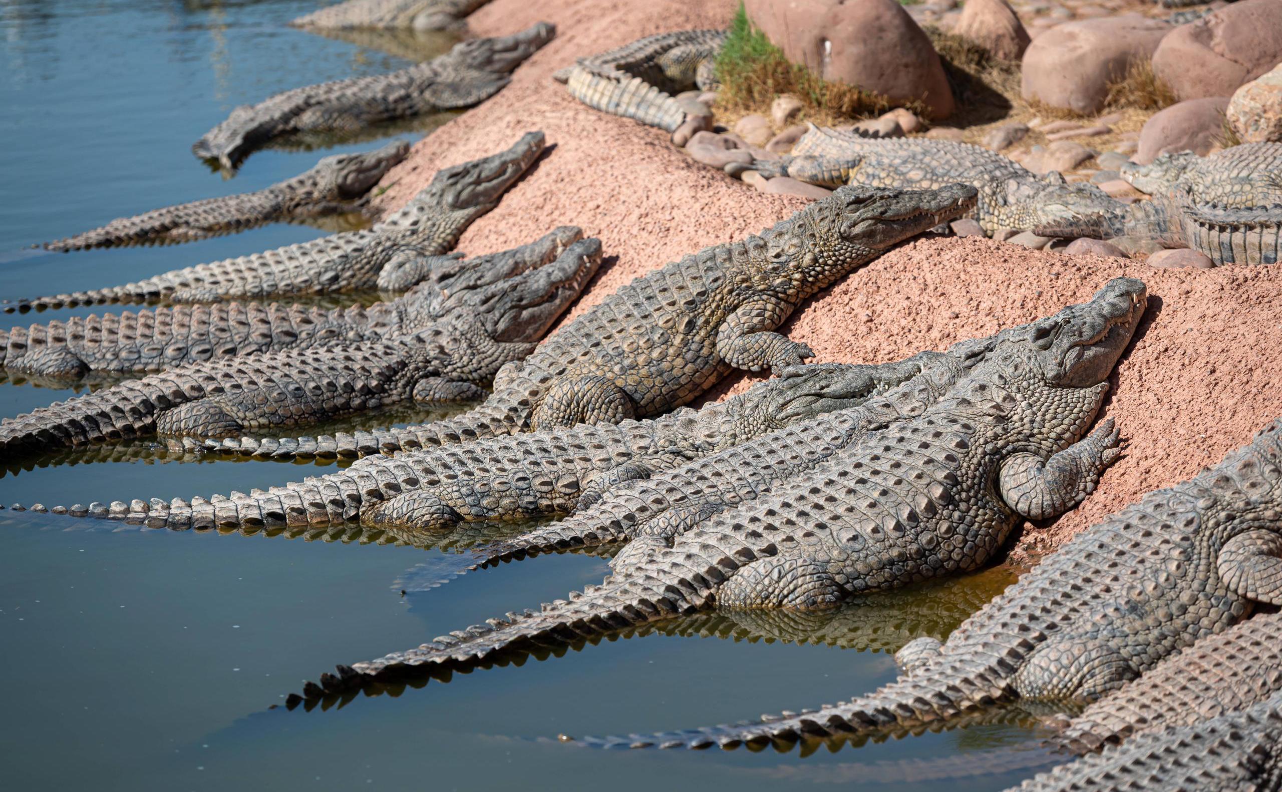 Фото: Getty Images