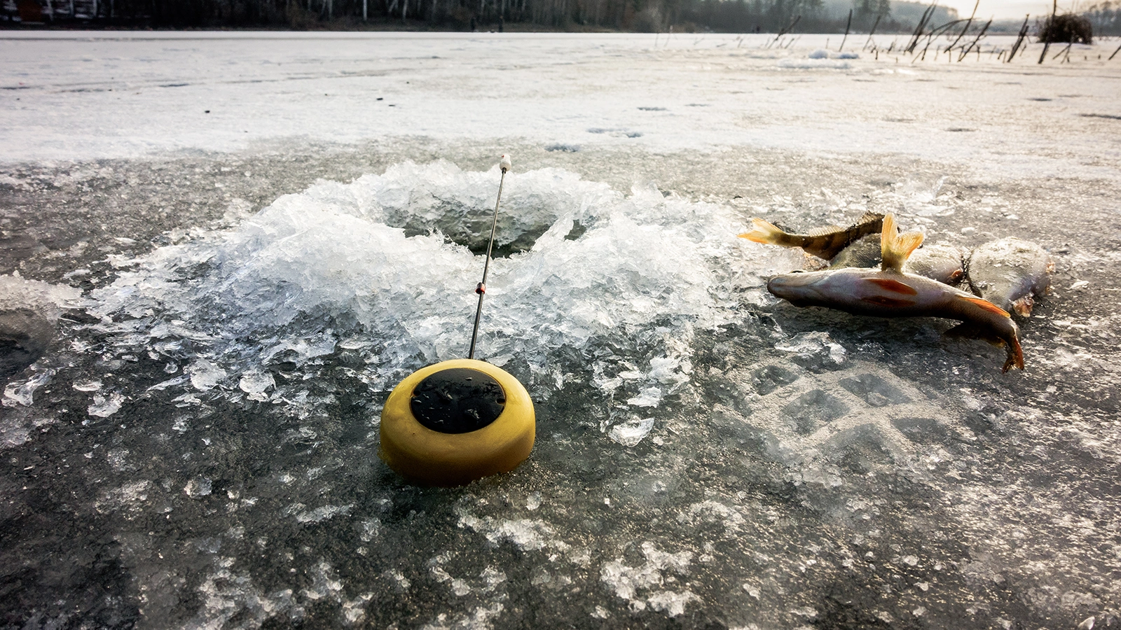 В Ленинградской области двое рыбаков ушли на озеро по льду и пропали
