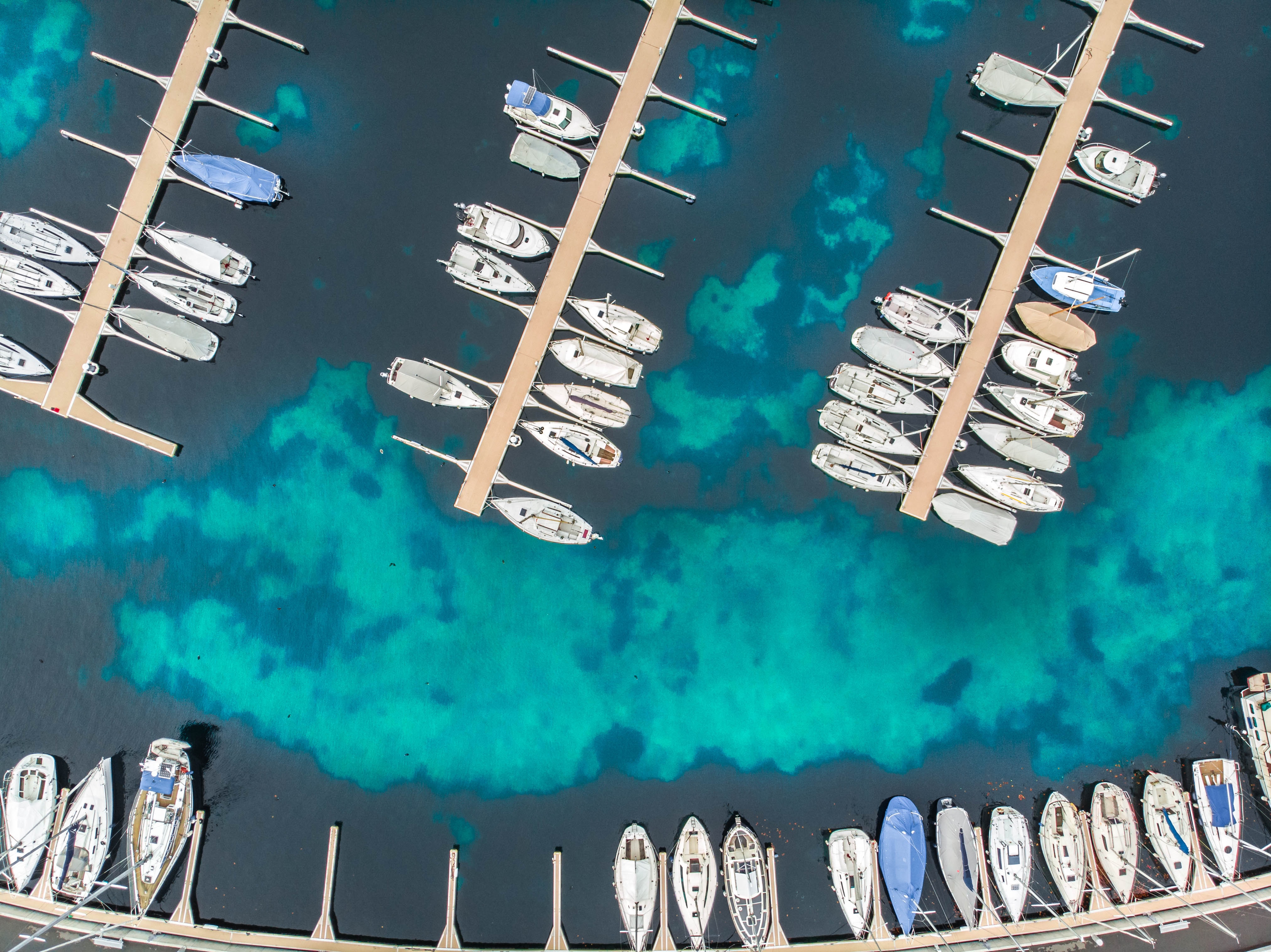 Фото: unsplash.com