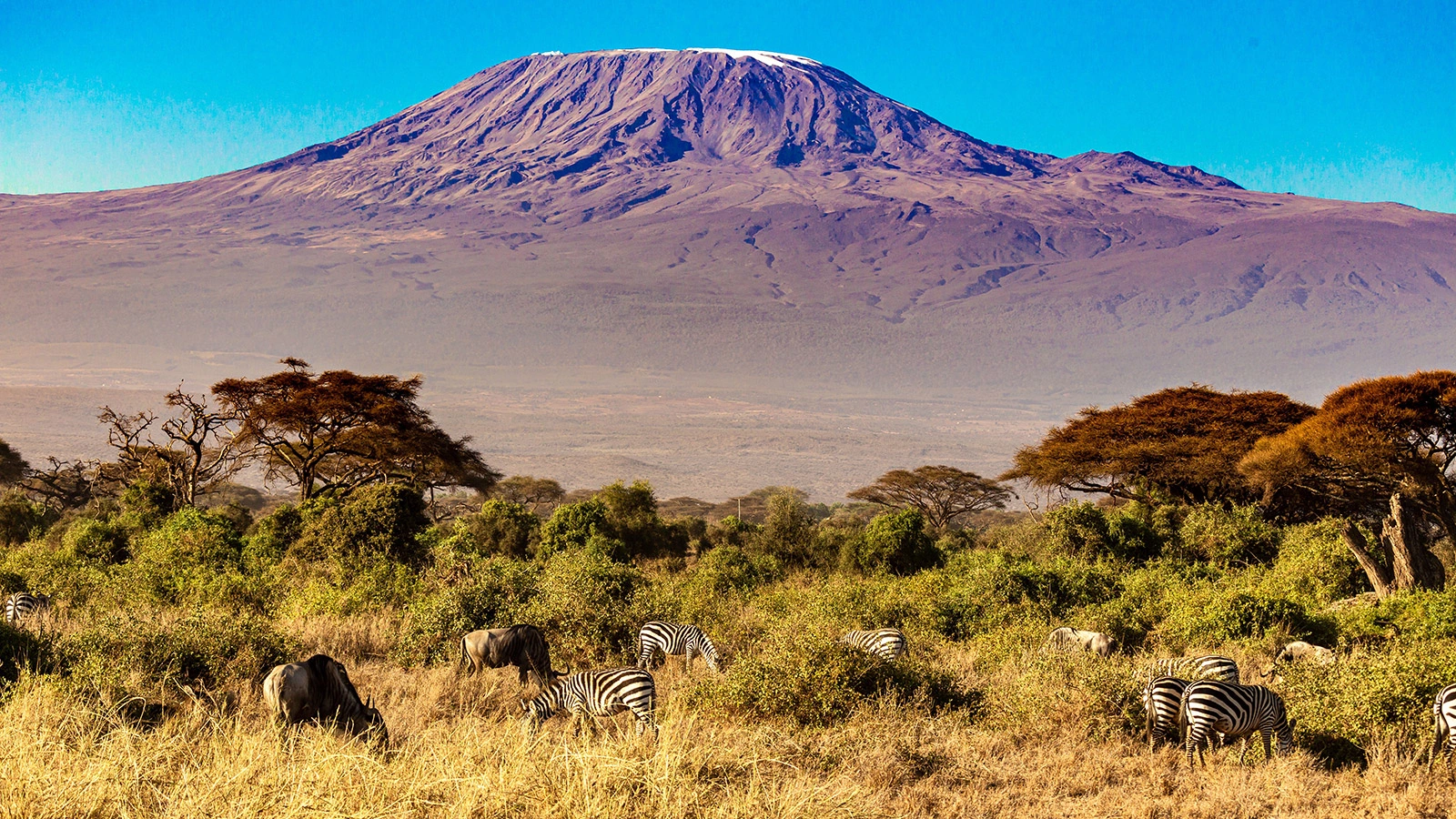 <p>Бархатный сезон&nbsp;&mdash; он и в Африке может быть бархатным. Вид на Килиманджаро</p>