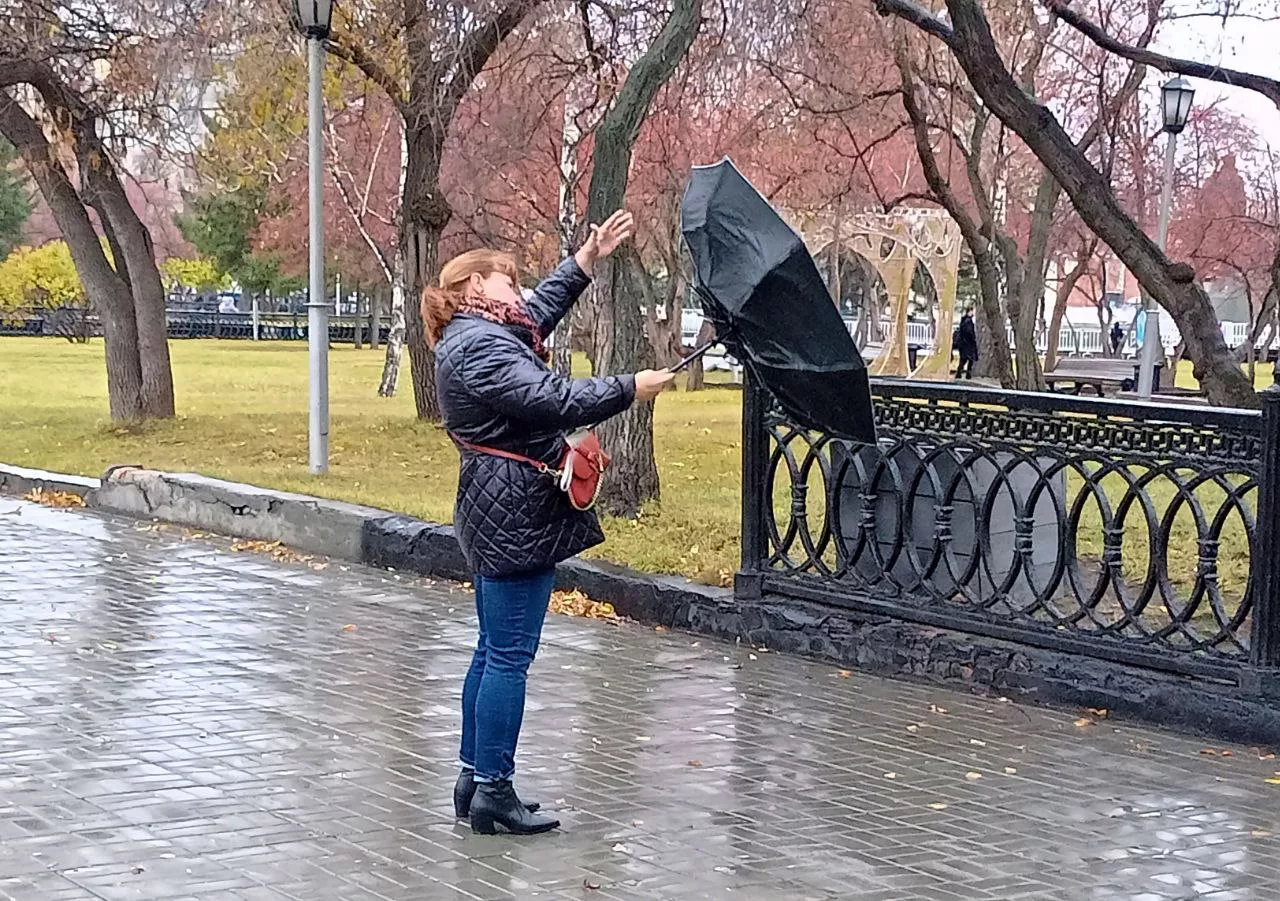 Алексей Коваленок / РБК Новосибирск