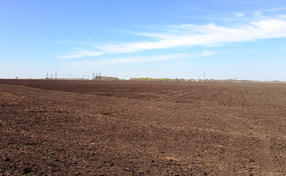 Фото: РБК Черноземье