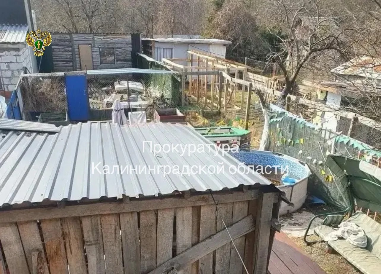 прокуратура КО