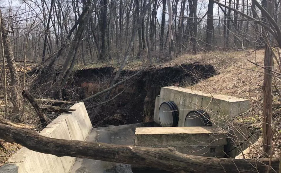 пресс-служба прокуратуры Воронежской области