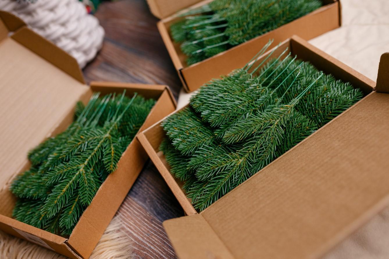 Фото: Skeronov / Shutterstock / FOTODOM