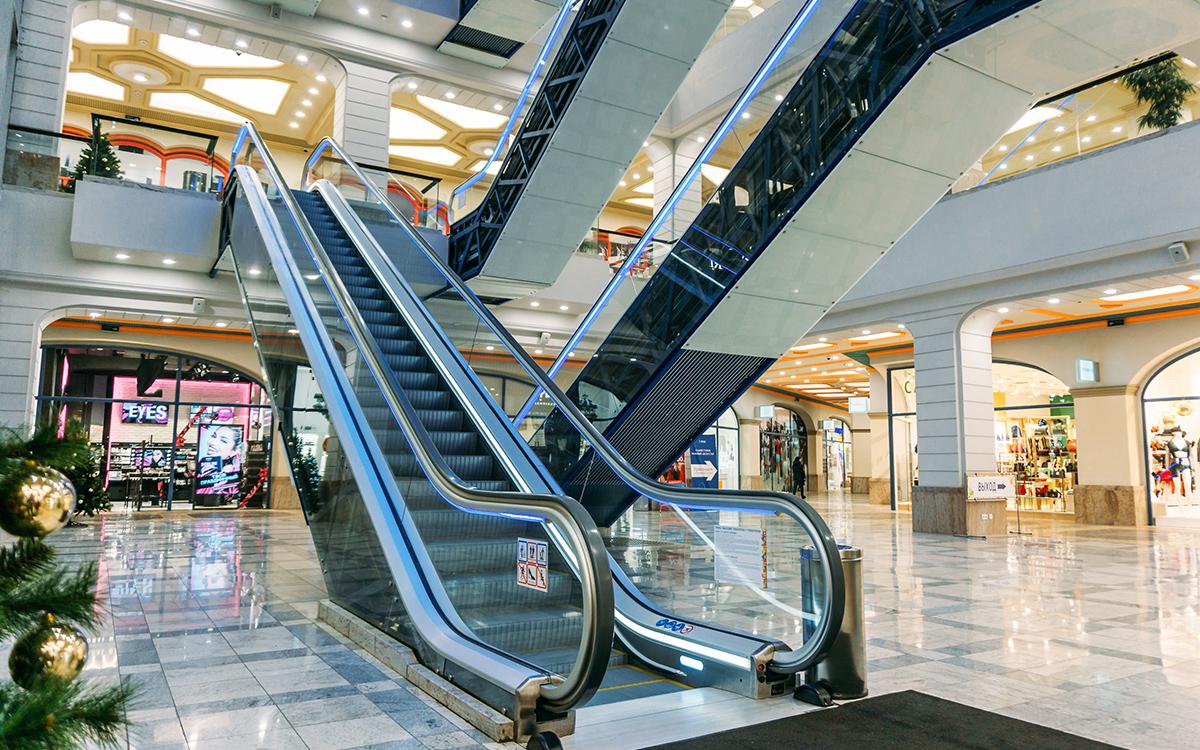 Фото: DedMityay / Shutterstock / FOTODOM