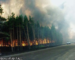 К тушению пожаров в России подключается Франция